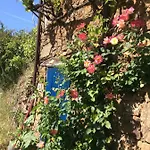 Vivenda Festina Lente * Figueiro Dos Vinhos