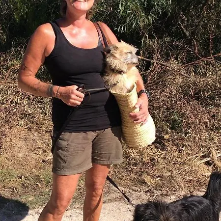 Vivenda Festina Lente Figueiro Dos Vinhos