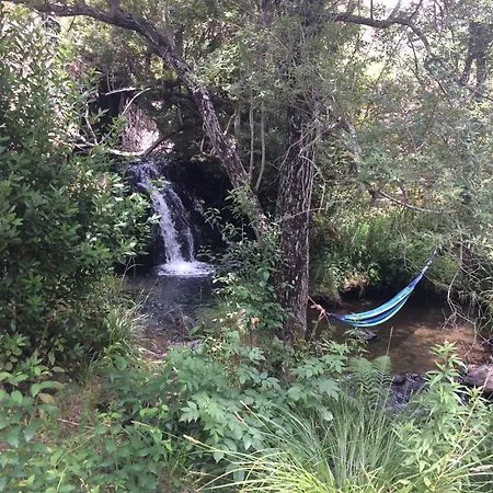 Vivenda Festina Lente Σπίτι διακοπών Figueiro Dos Vinhos