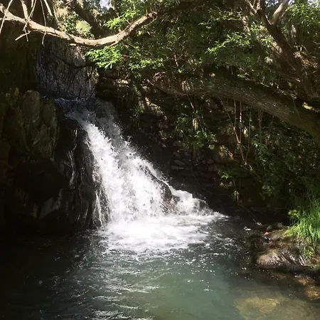 Vivenda Festina Lente Figueiro Dos Vinhos
