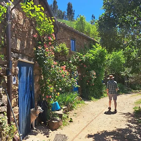 Vivenda Festina Lente Figueiro Dos Vinhos
