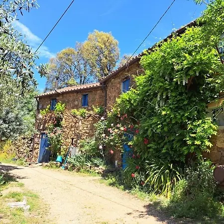 Semesterbostad Vivenda Festina Lente