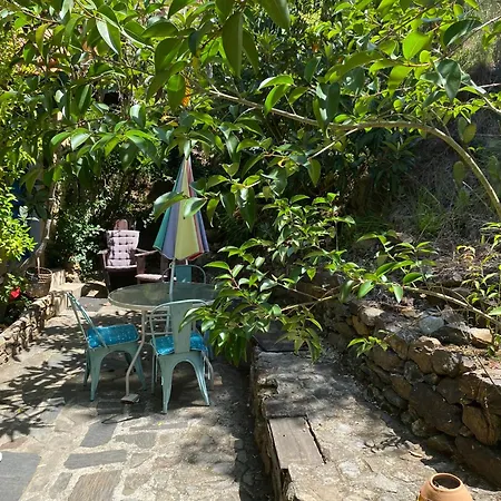 Vivenda Festina Lente