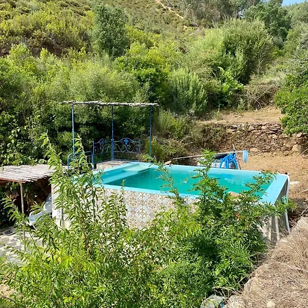 Vivenda Festina Lente Σπίτι διακοπών Figueiro Dos Vinhos