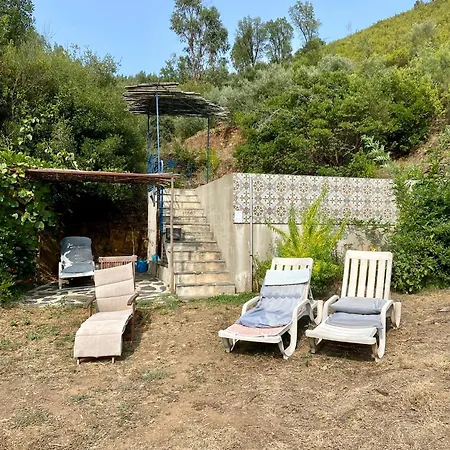 Vivenda Festina Lente Σπίτι διακοπών Figueiro Dos Vinhos