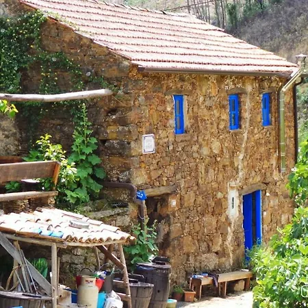 Vivenda Festina Lente * Figueiro Dos Vinhos