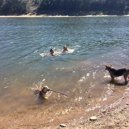 Vivenda Festina Lente *