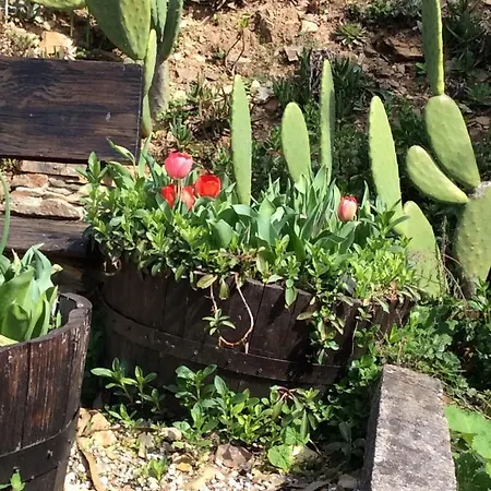 Vivenda Festina Lente Σπίτι διακοπών
