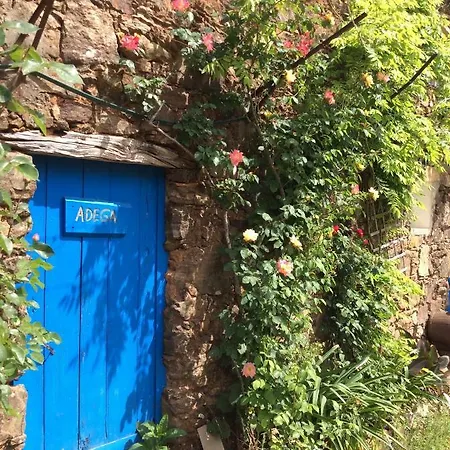 Vivenda Festina Lente * Figueiro Dos Vinhos