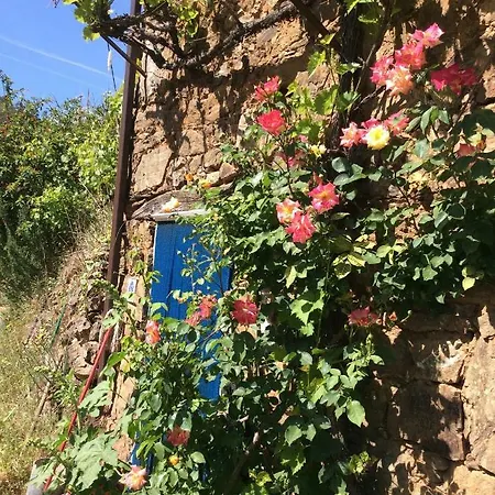 Vivenda Festina Lente * Figueiro Dos Vinhos