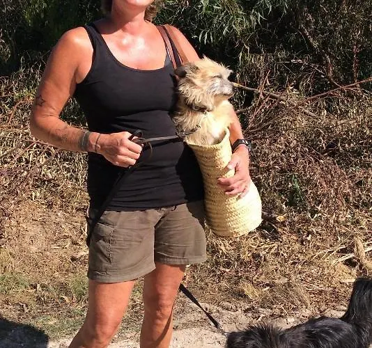 Vivenda Festina Lente Figueiro Dos Vinhos