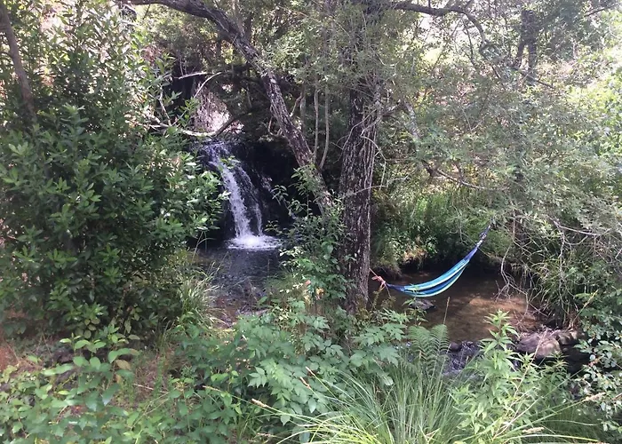 Vivenda Festina Lente Ferienhaus Figueiro Dos Vinhos