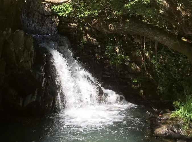 Vivenda Festina Lente Figueiro Dos Vinhos