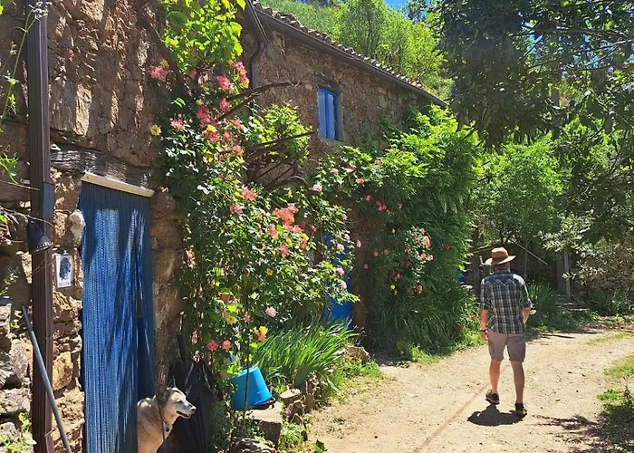 Vivenda Festina Lente Figueiro Dos Vinhos