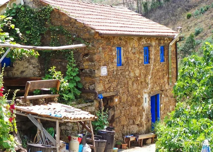 Vivenda Festina Lente * Figueiro Dos Vinhos