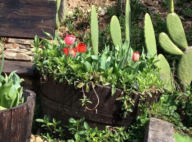 Vivenda Festina Lente Holiday home