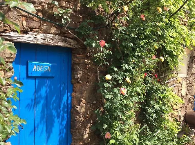 Vivenda Festina Lente * Figueiro Dos Vinhos