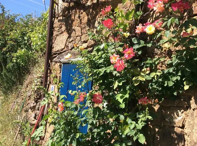Vivenda Festina Lente * Figueiro Dos Vinhos