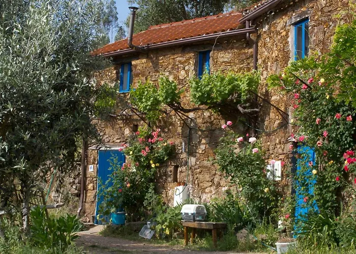 Ferienhaus Vivenda Festina Lente Figueiro Dos Vinhos